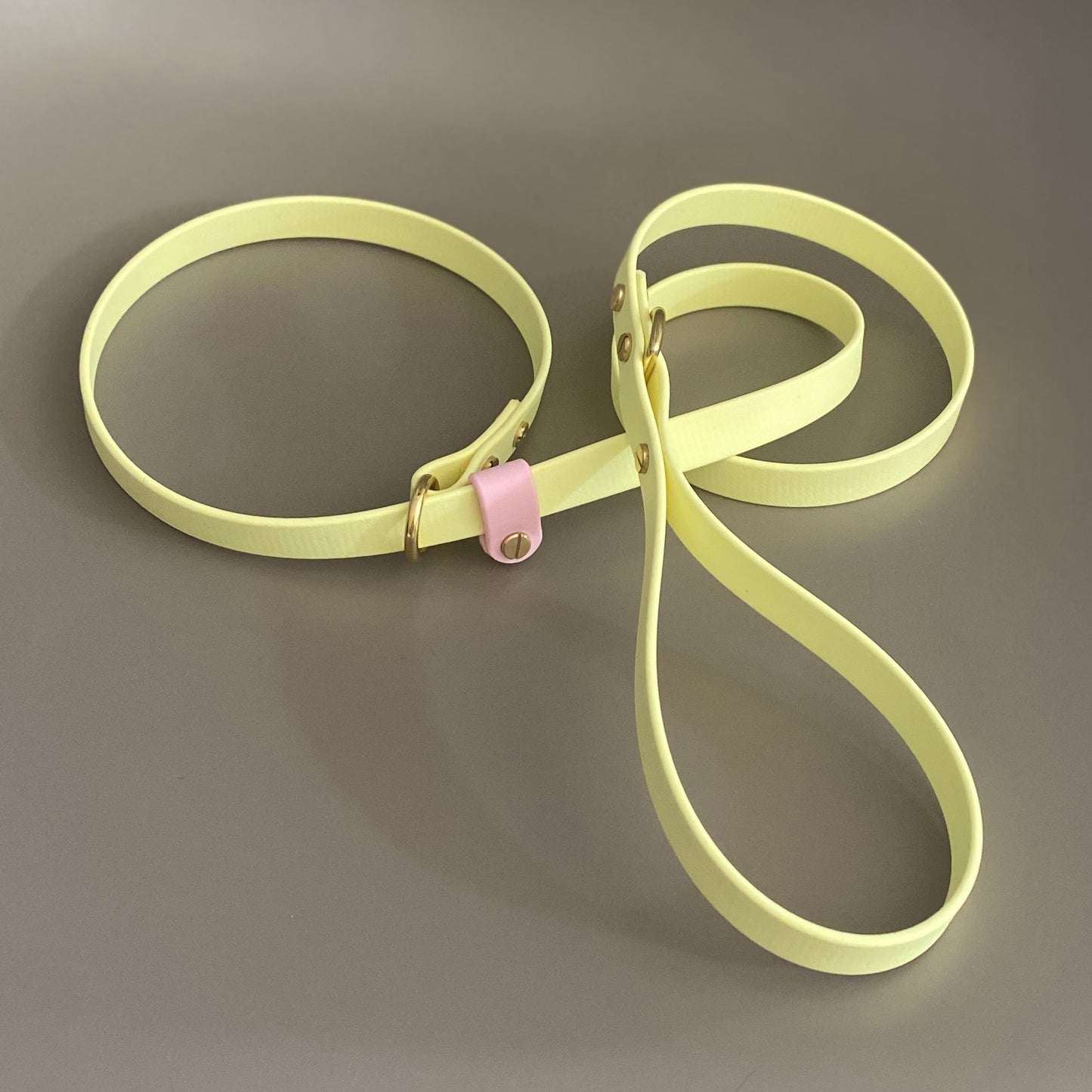 Strawberry Lemonade BioThane® 16mm Slip Lead