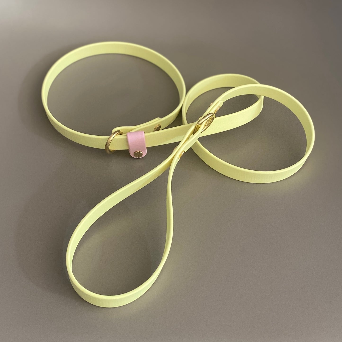 Strawberry Lemonade BioThane® 16mm Slip Lead