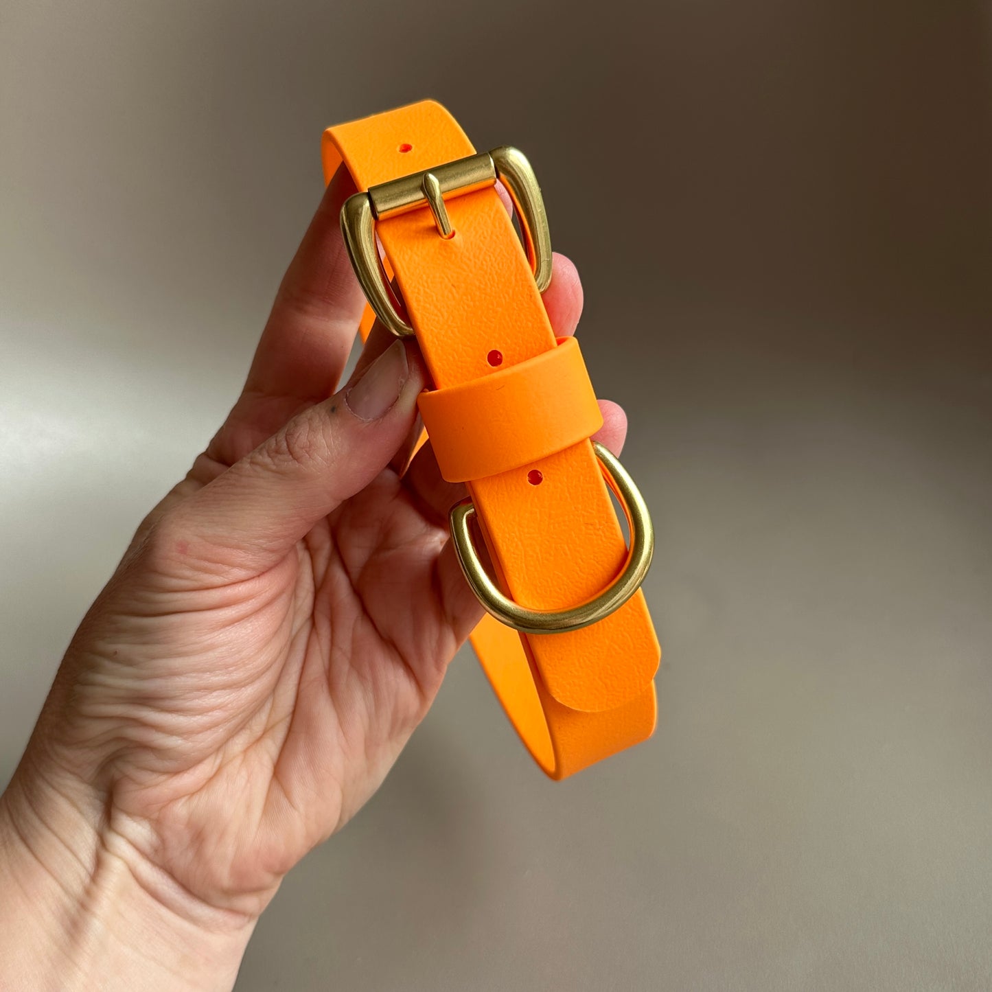 Orange BioThane® Collar