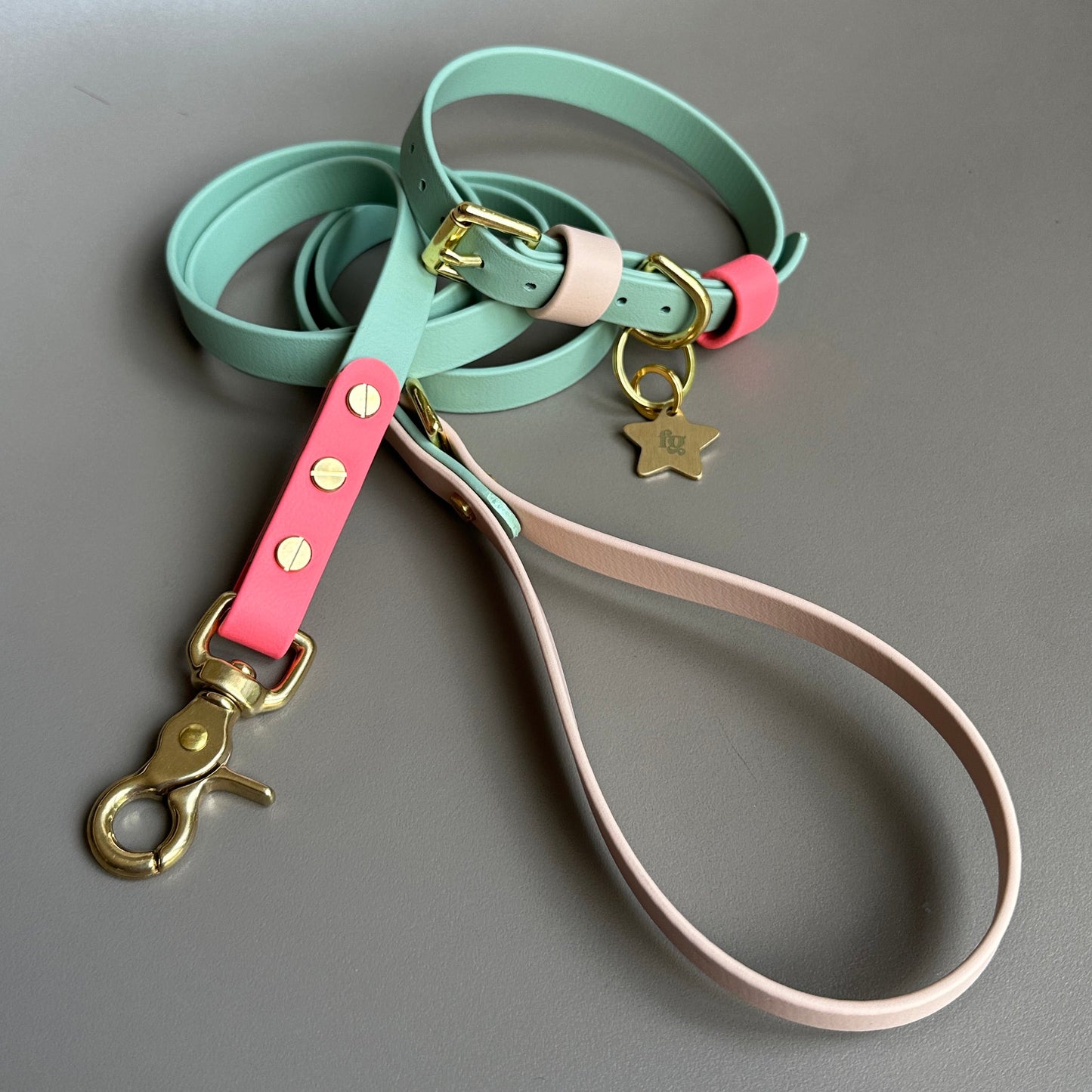 Marnie Colourblock BioThane® Lead