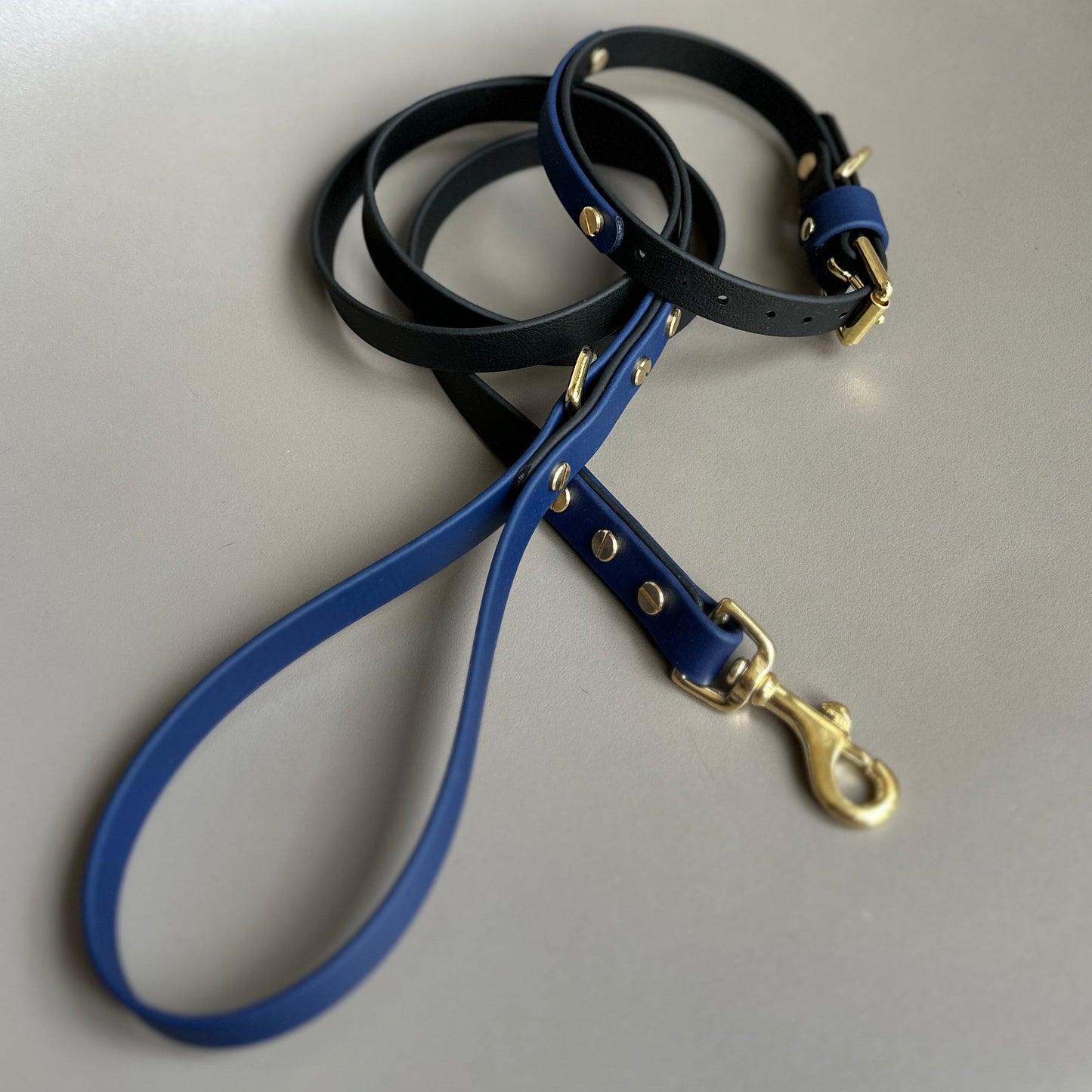 Squigg Colourband BioThane® Collar