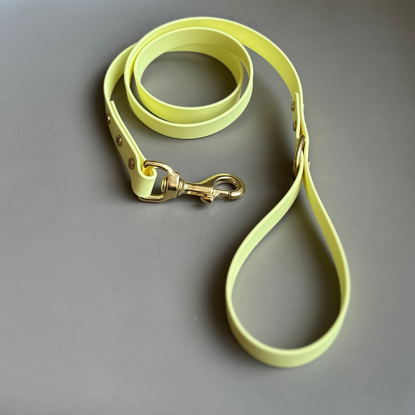 Lemonade BioThane® Lead