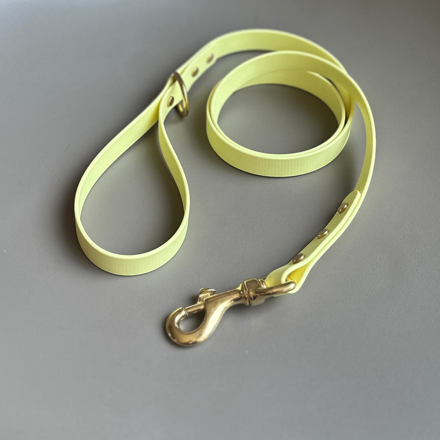 Lemonade BioThane® Lead