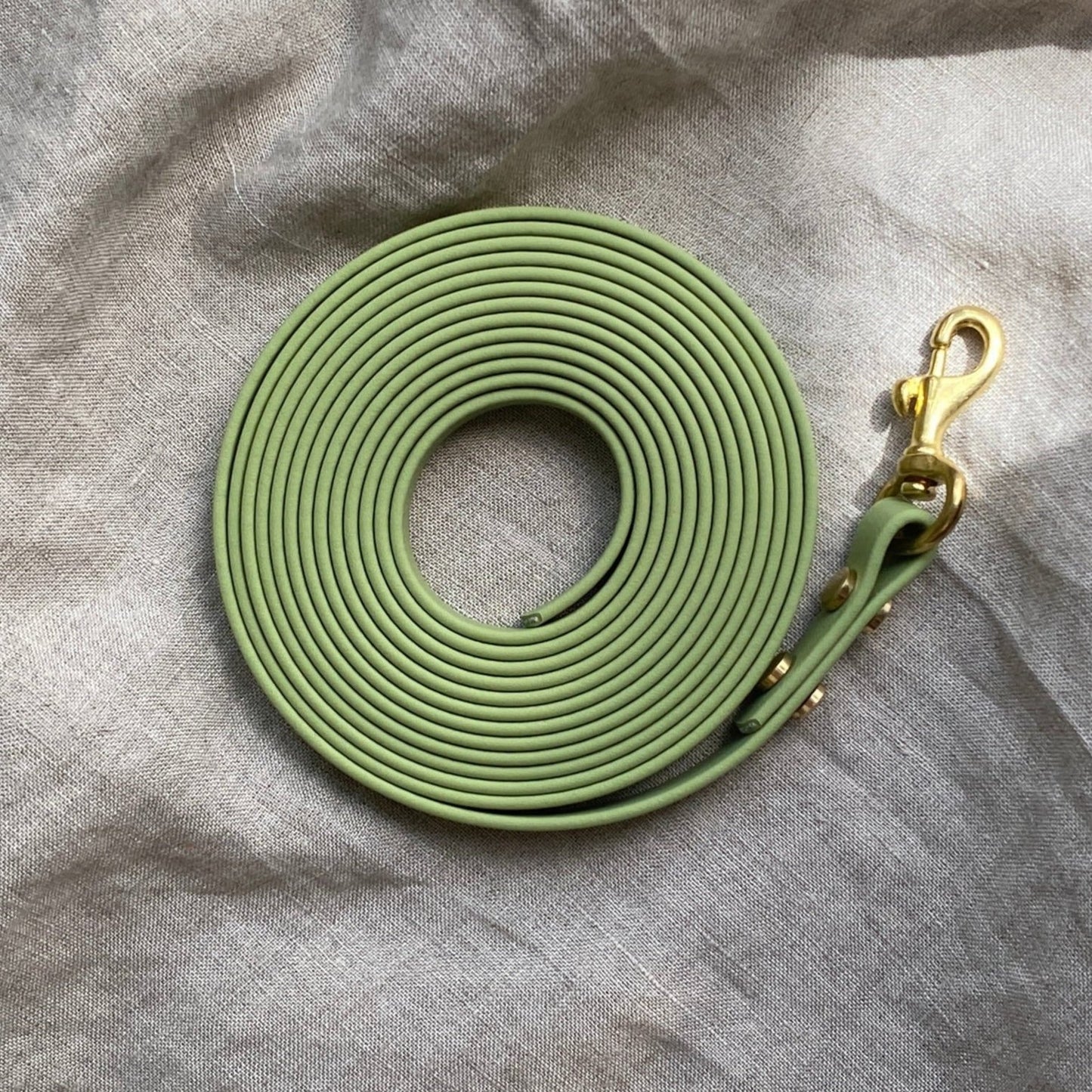 BioThane® 3 Metre Longline Lead