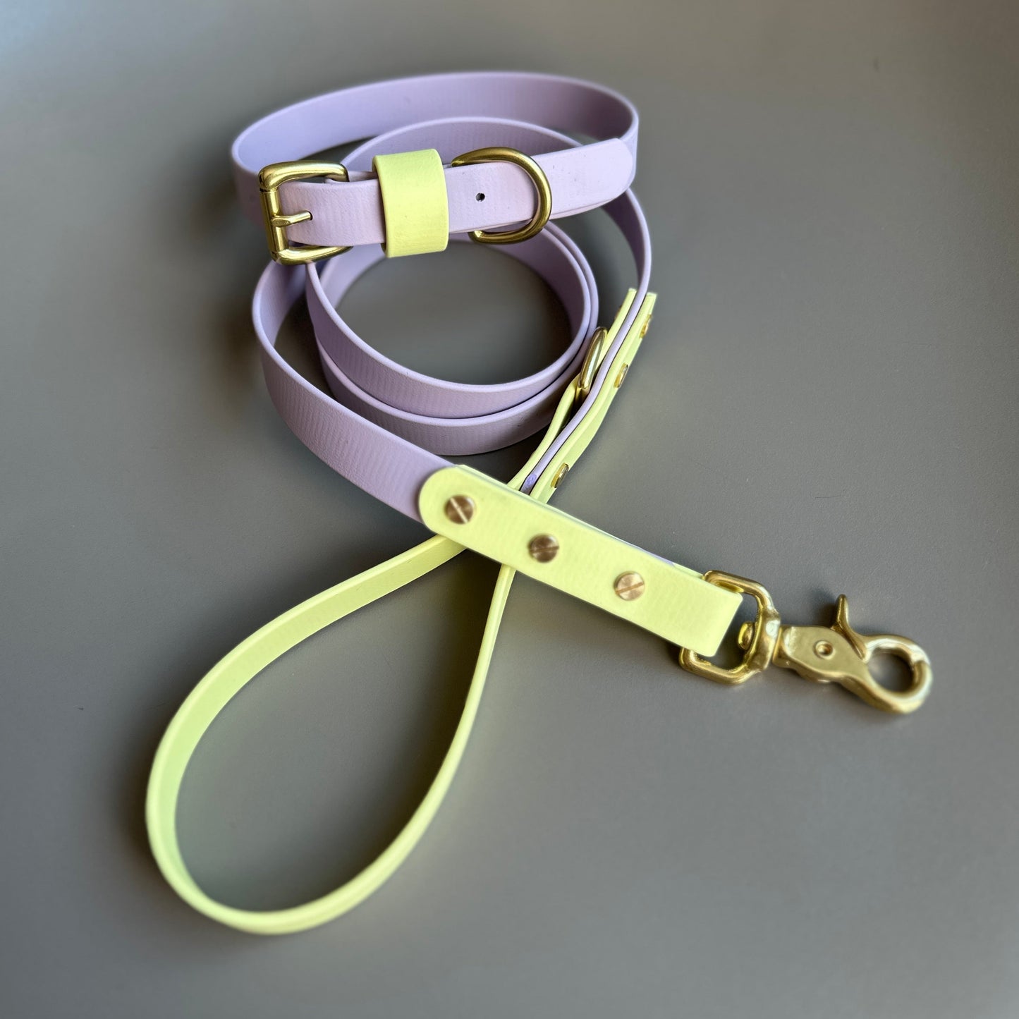 French Bean Colourblock BioThane® Collar