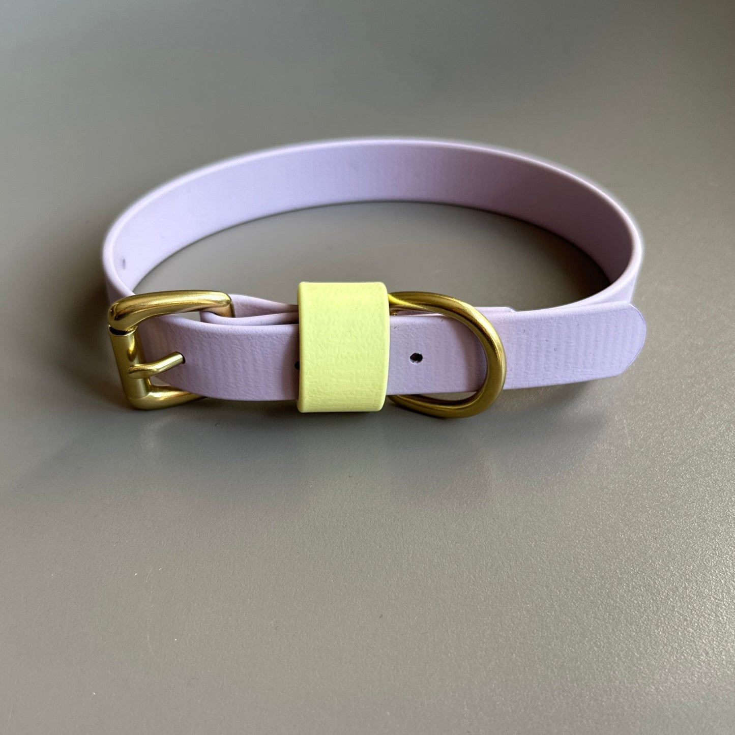 French Bean Colourblock BioThane® Collar