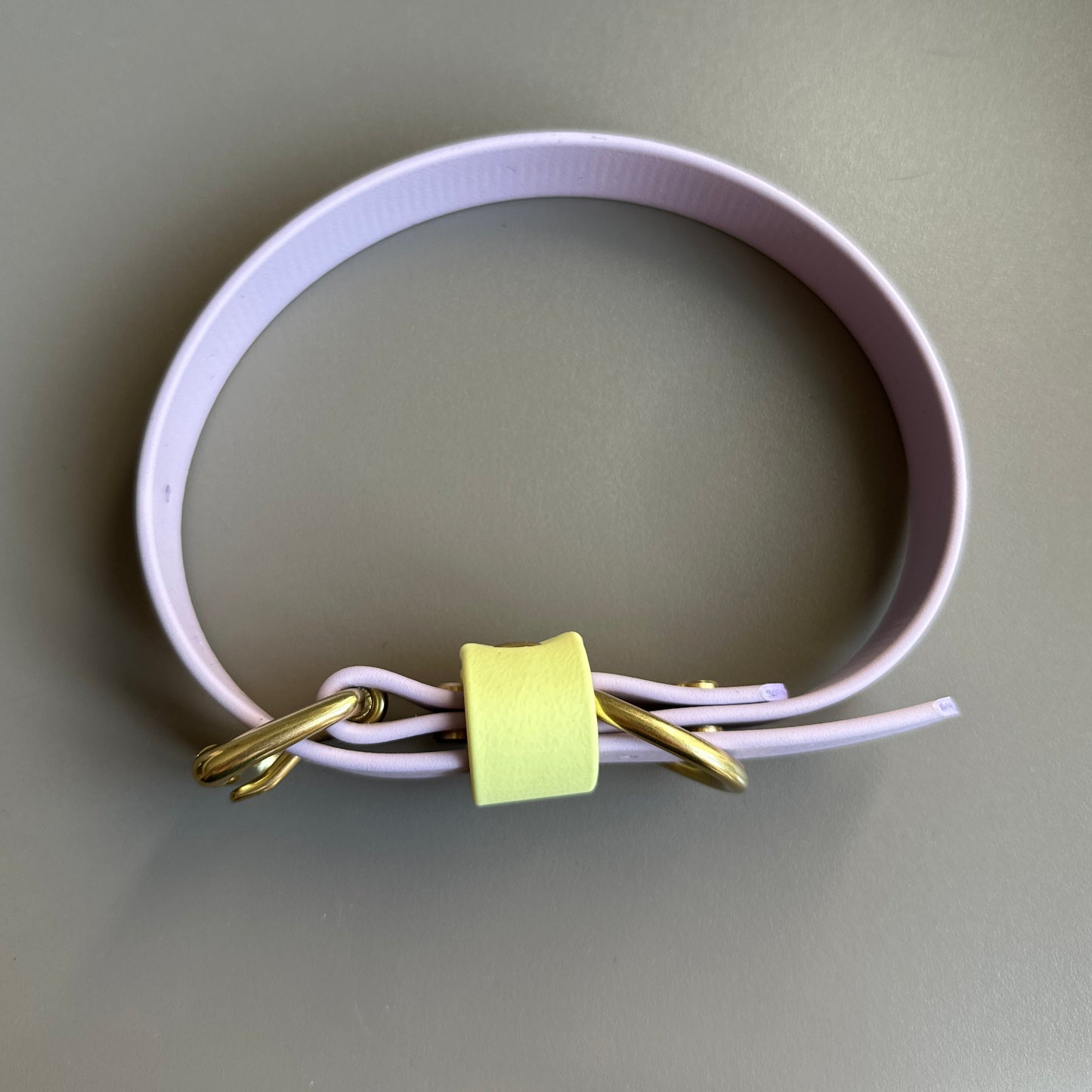 French Bean Colourblock BioThane® Collar
