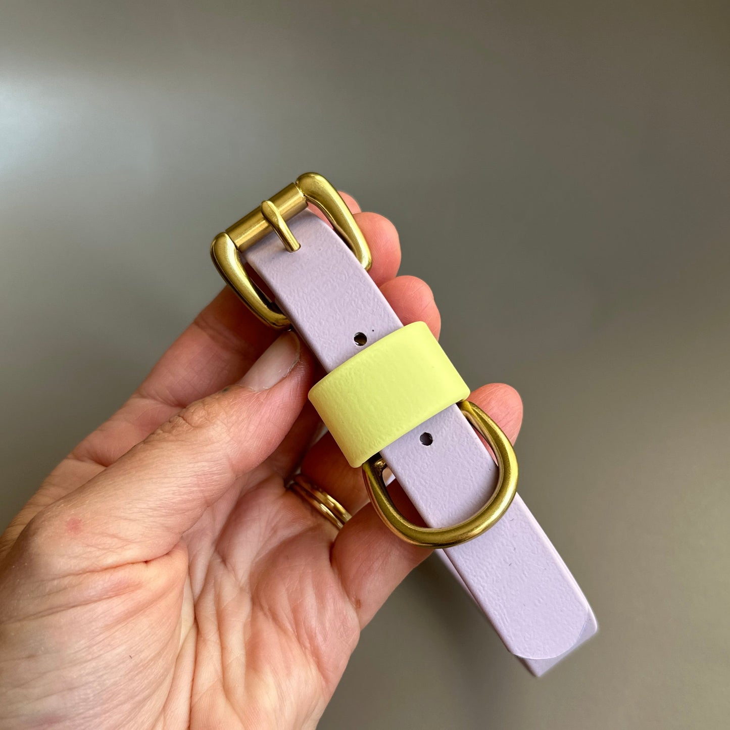 French Bean Colourblock BioThane® Collar