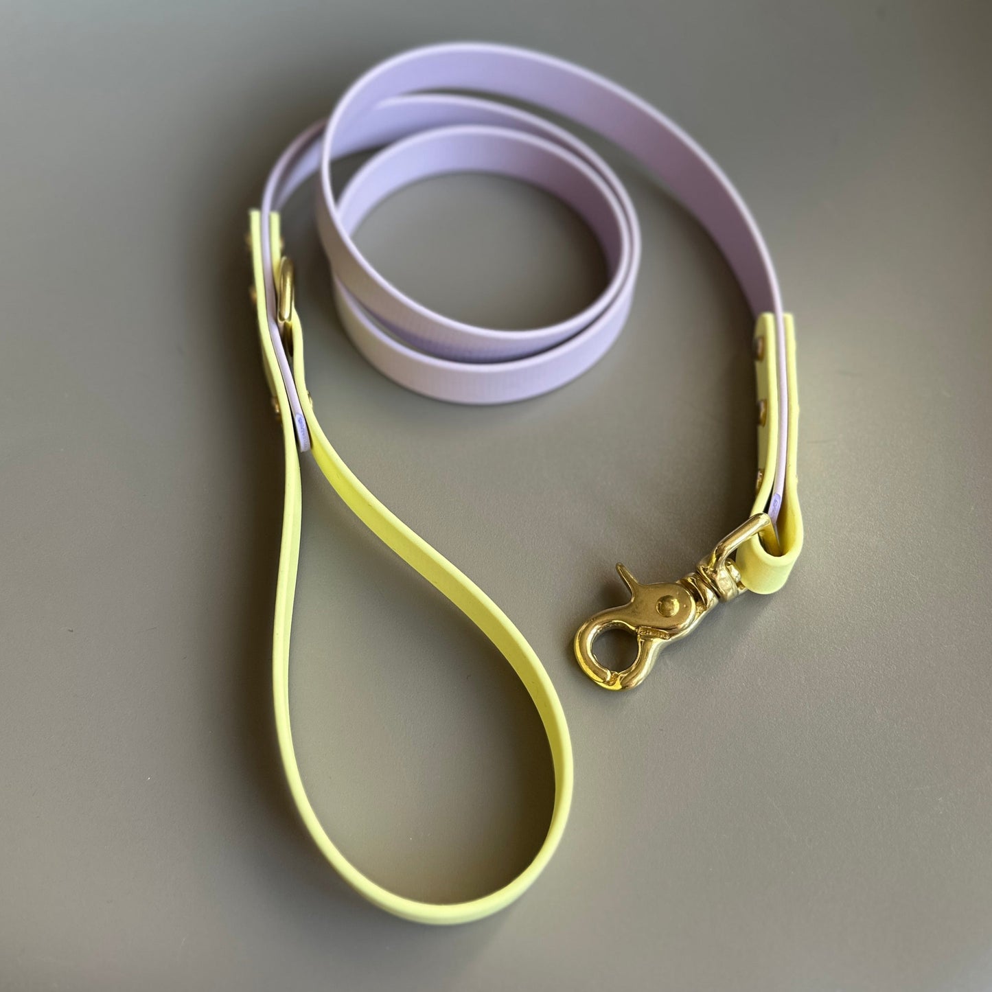 French Bean Colourblock BioThane® Lead