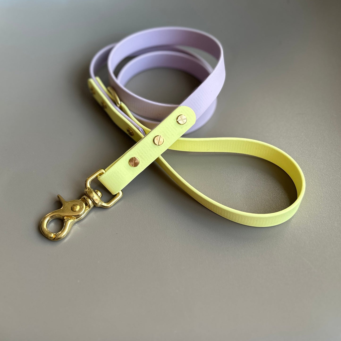French Bean Colourblock BioThane® Lead