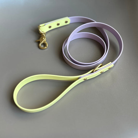 French Bean Colourblock BioThane® Lead