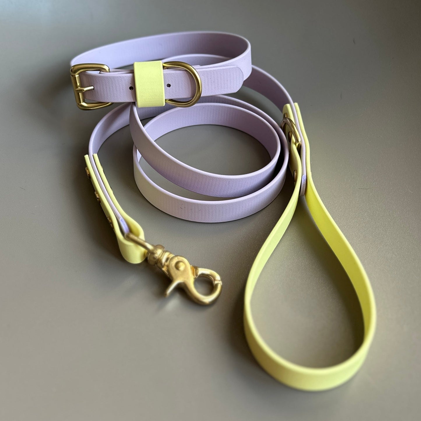 French Bean Colourblock BioThane® Collar
