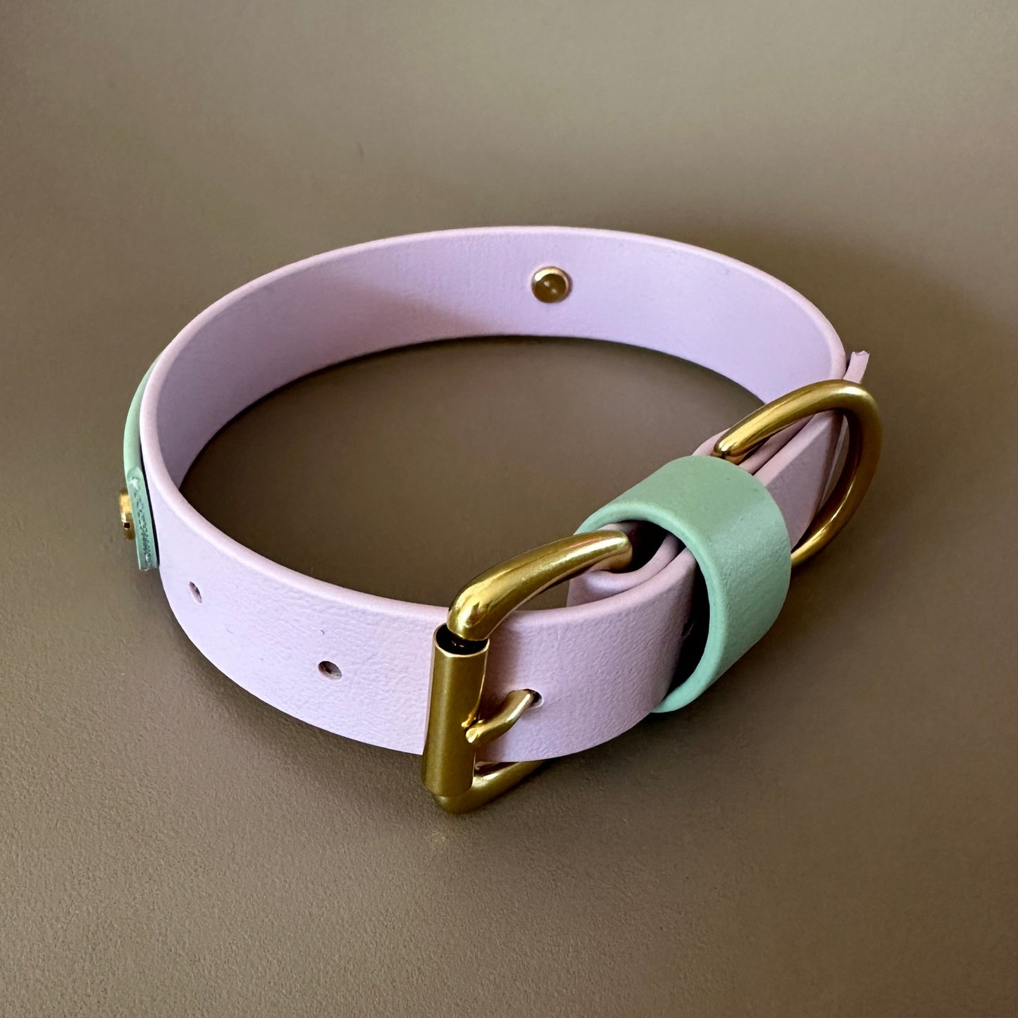 Bunny Colourband BioThane® Collar