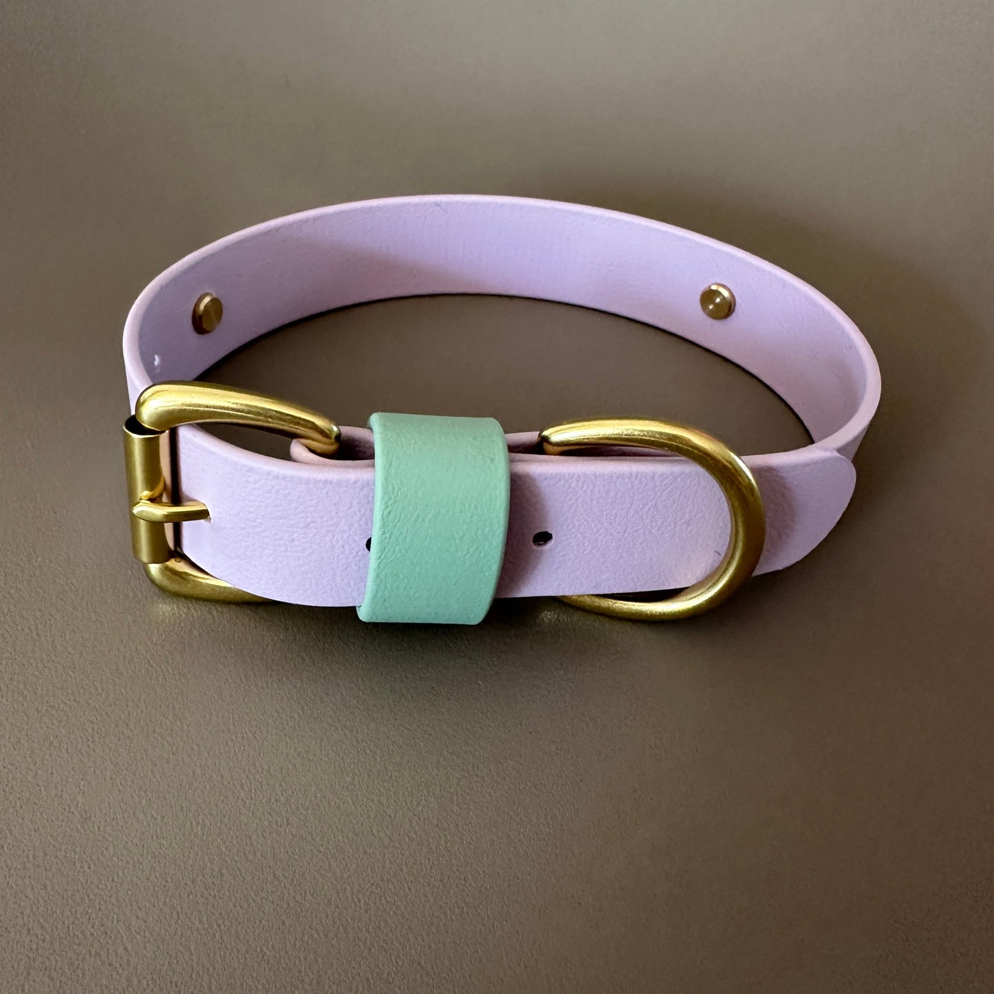 Bunny Colourband BioThane® Collar