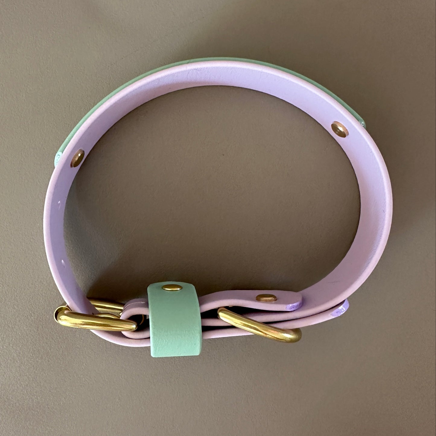 Bunny Colourband BioThane® Collar