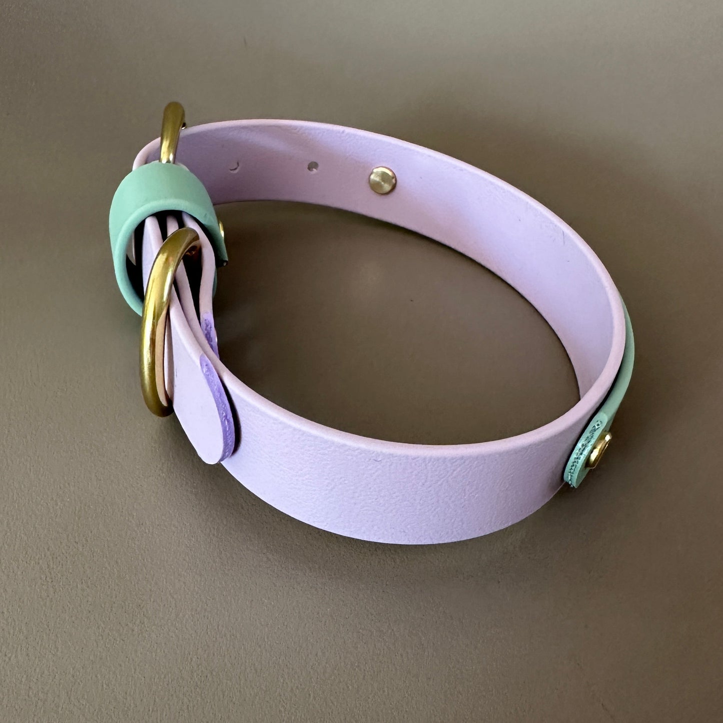 Bunny Colourband BioThane® Collar