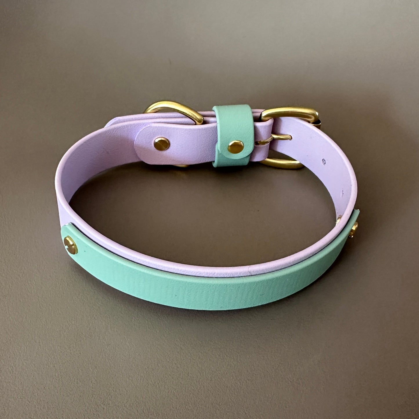 Bunny Colourband BioThane® Collar