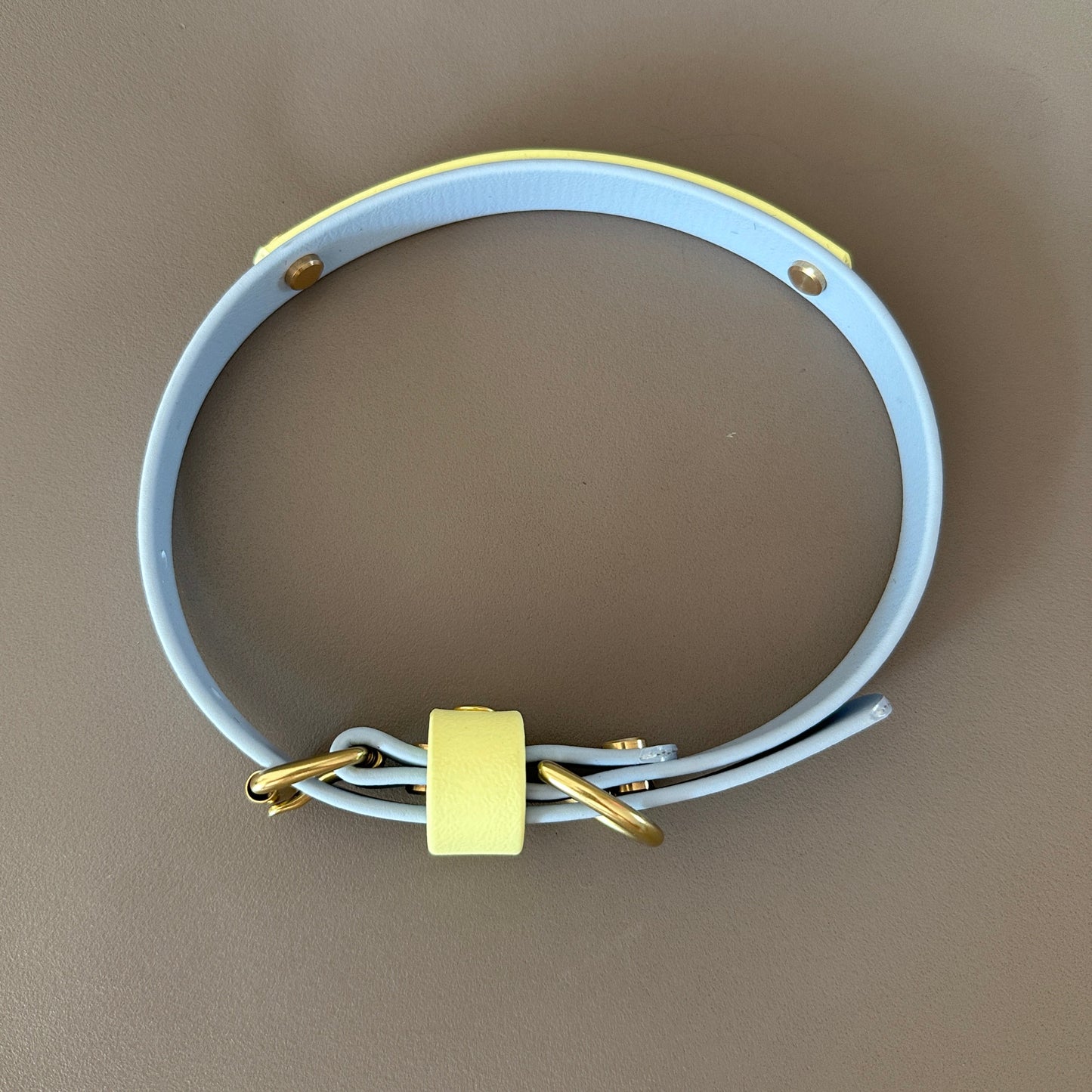 Dumpling Colourband BioThane® Collar