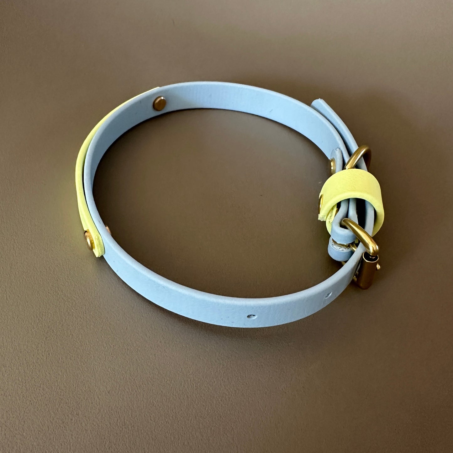 Dumpling Colourband BioThane® Collar