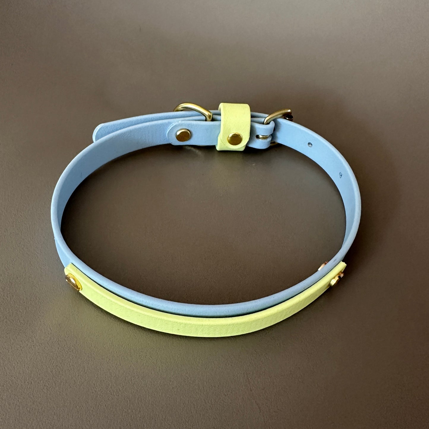 Dumpling Colourband BioThane® Collar