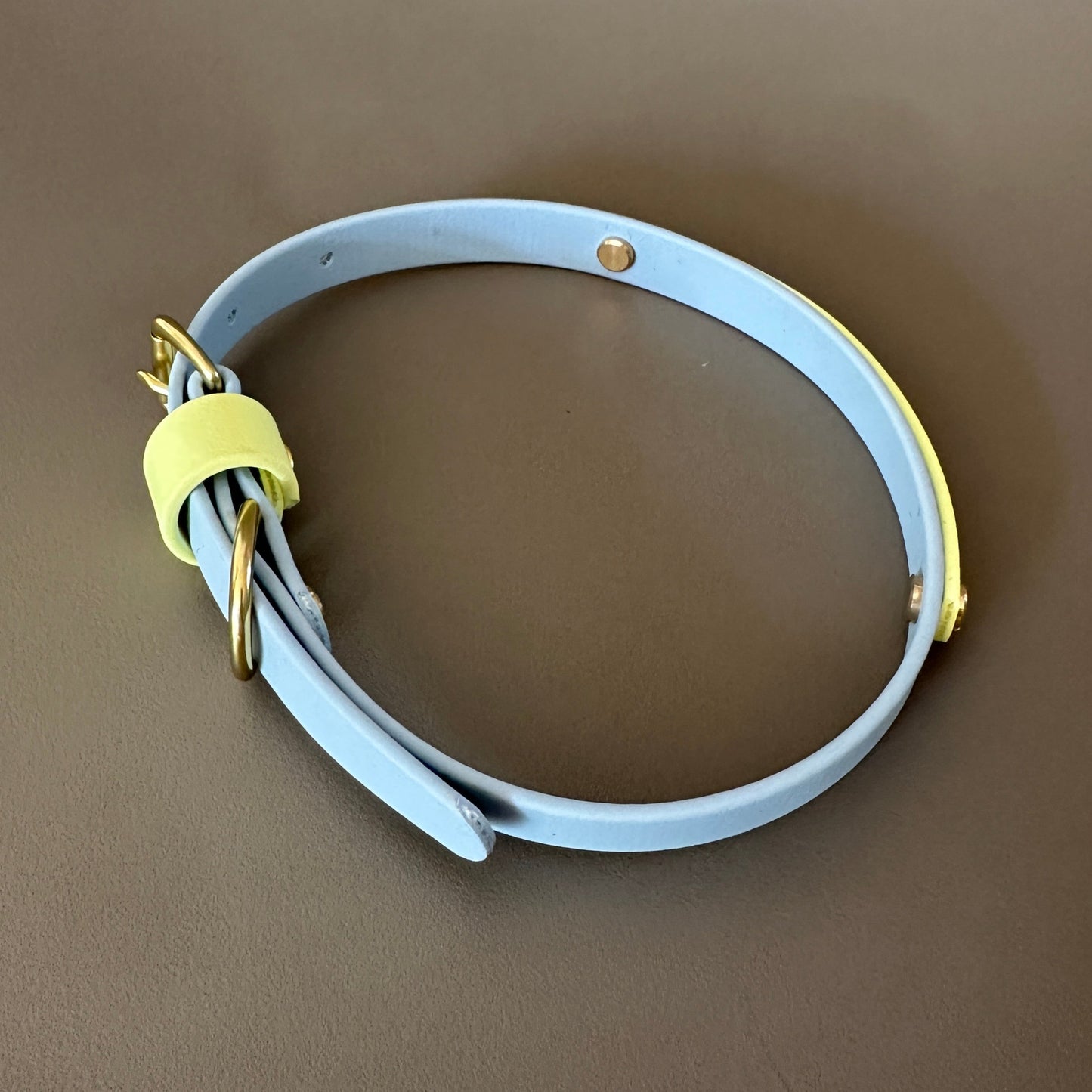 Dumpling Colourband BioThane® Collar