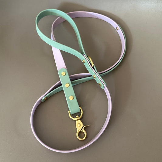 Bunny Colourband Control BioThane® Lead