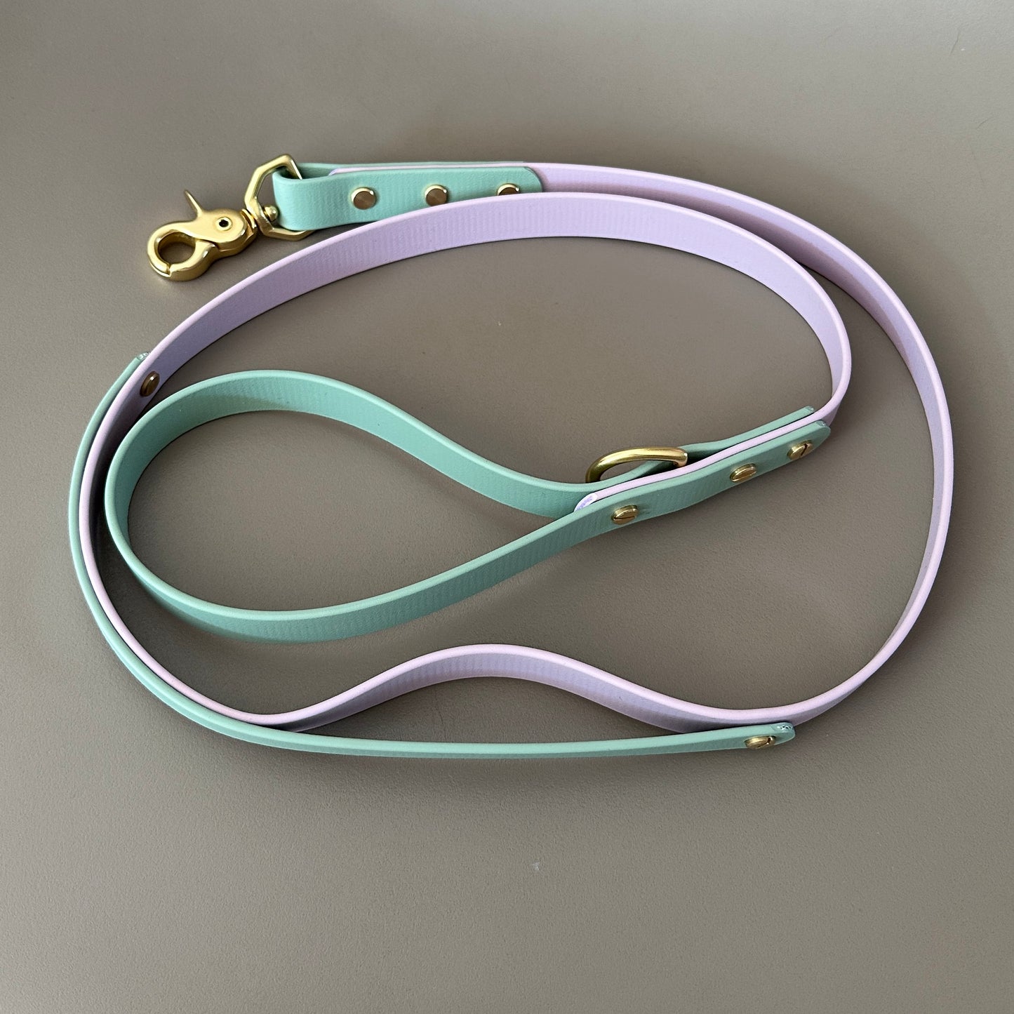 Colourband Lead Add On