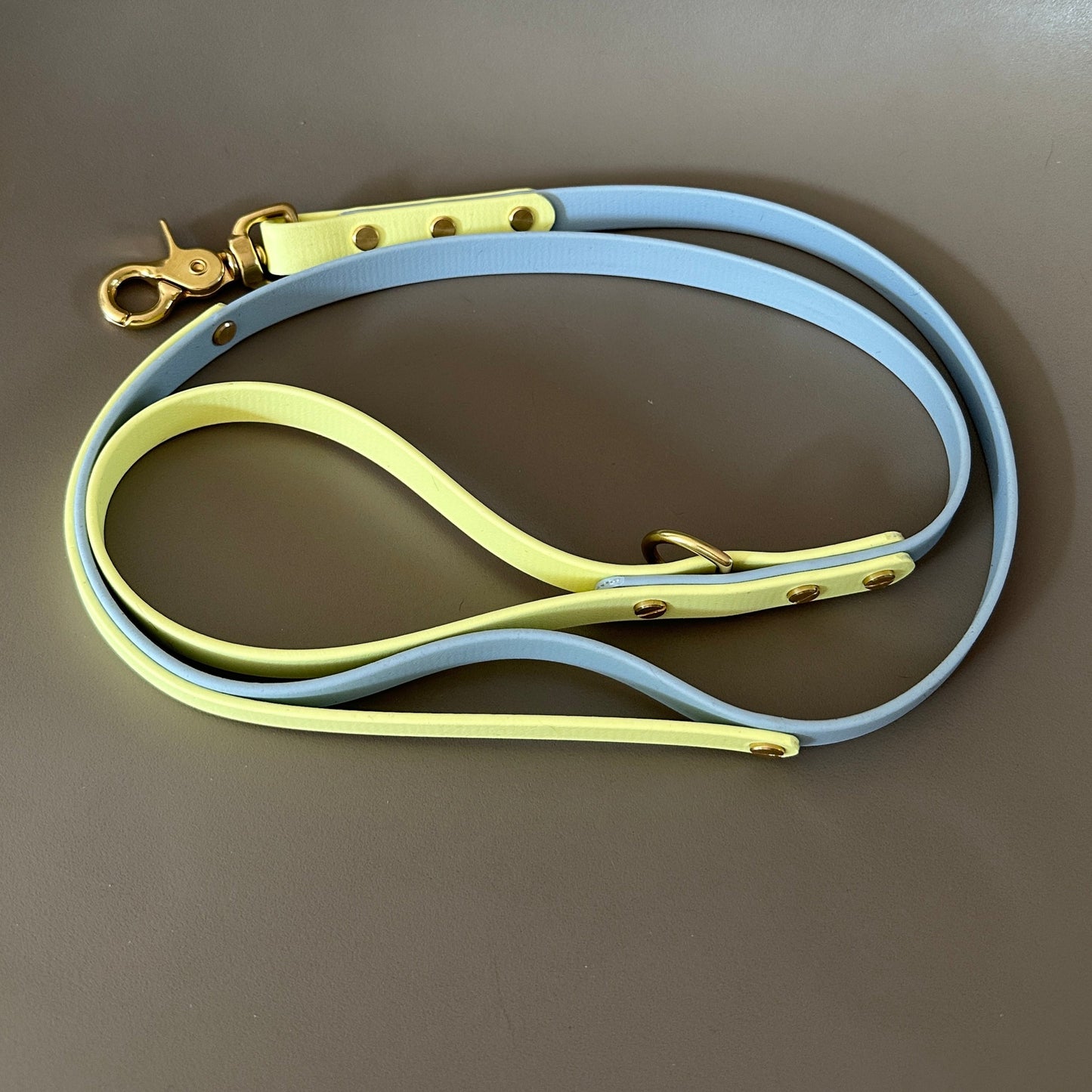 Colourband Lead Add On