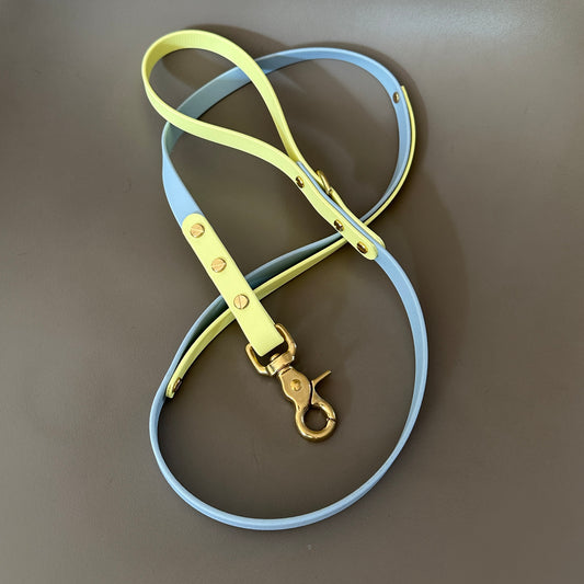 Dumpling Colourband Control BioThane® Lead