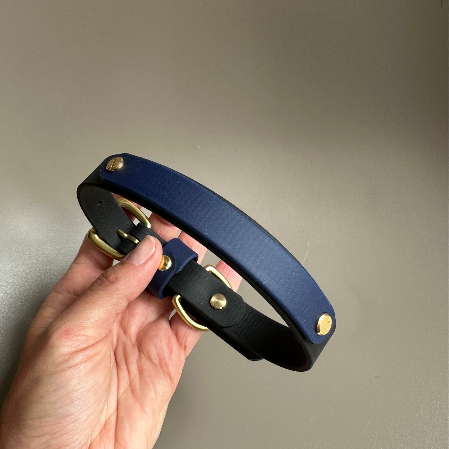 Squigg Colourband BioThane® Collar