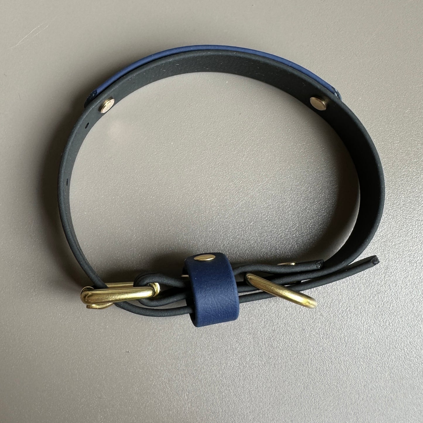 Squigg Colourband BioThane® Collar