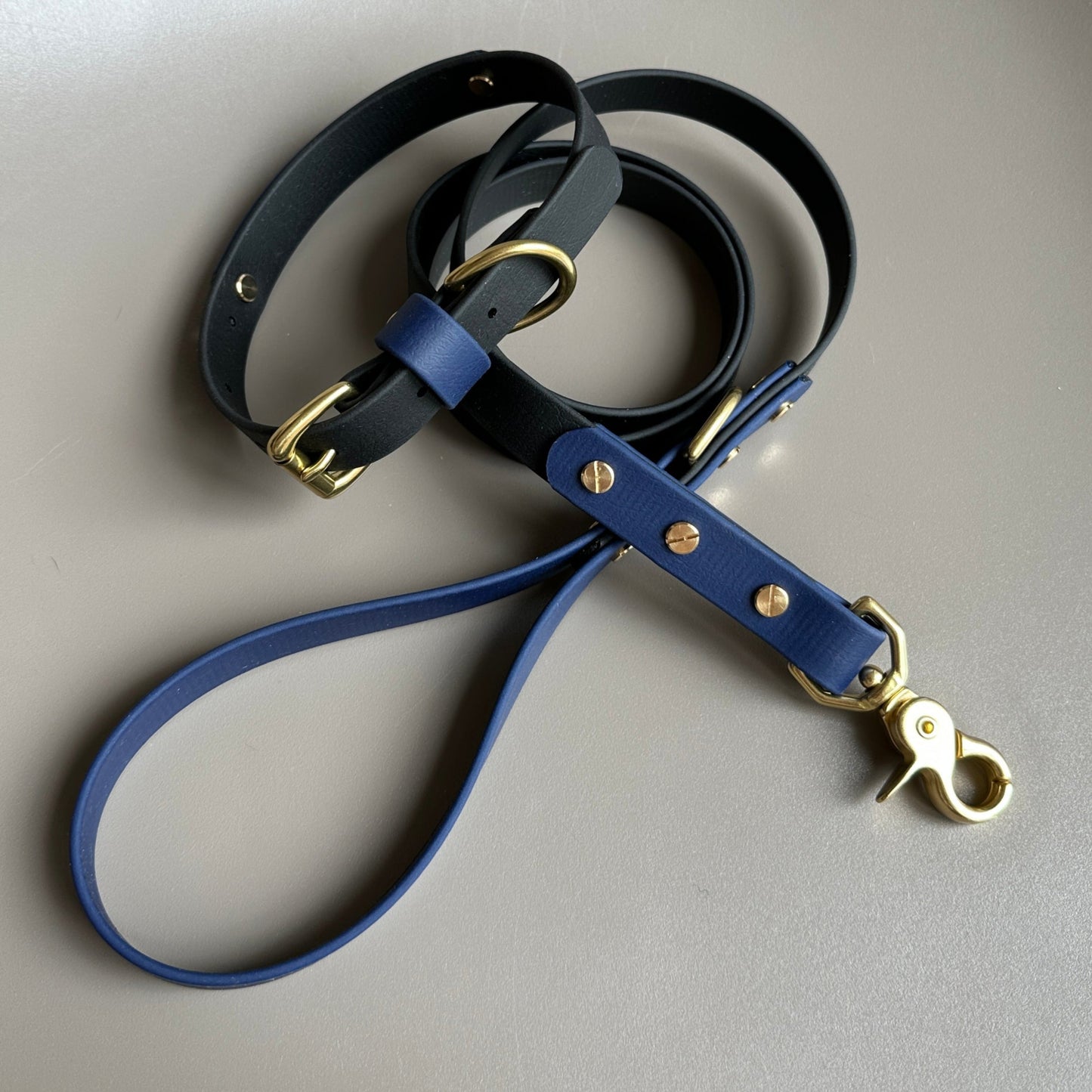 Squigg Colourband BioThane® Collar