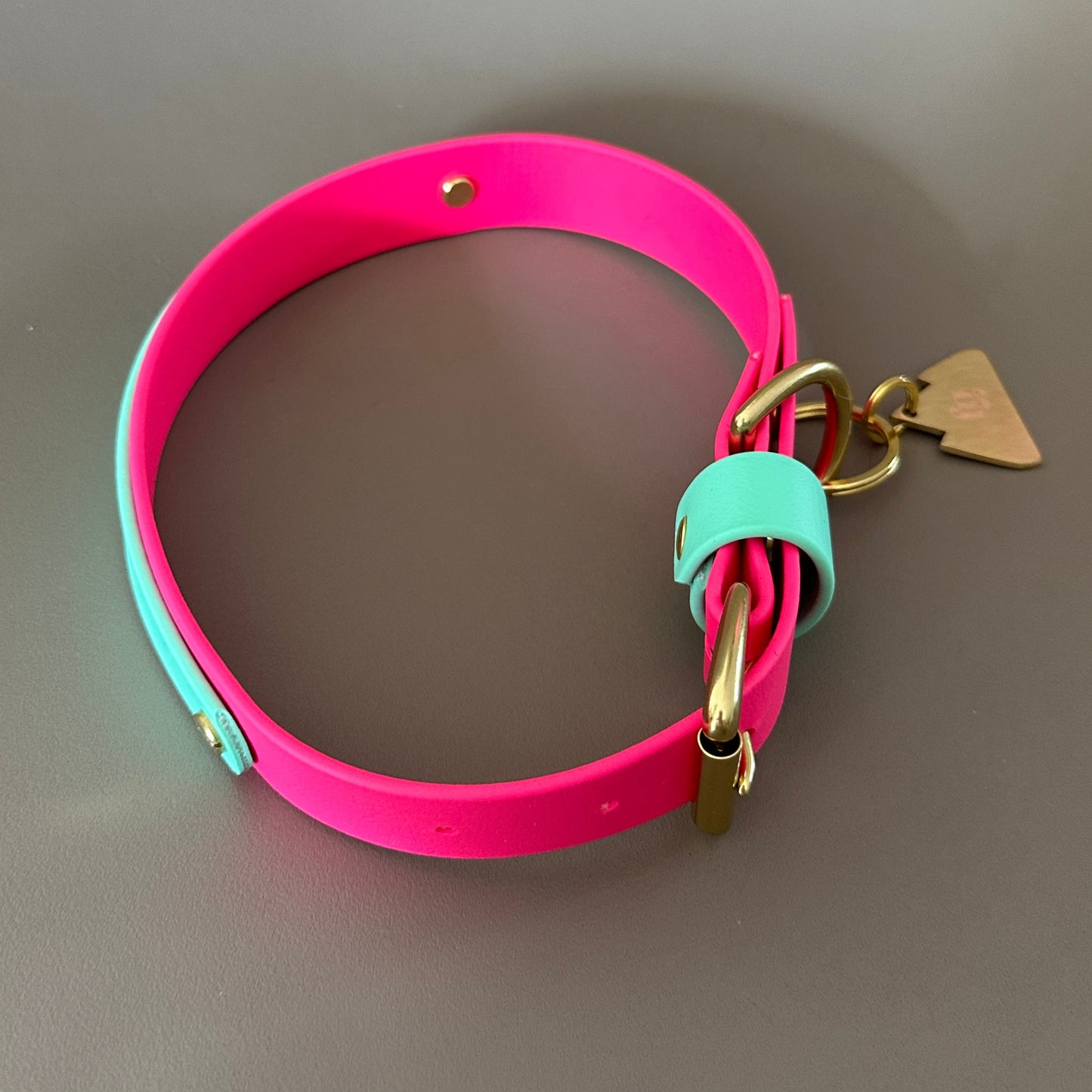Lolly Colourband BioThane® Collar