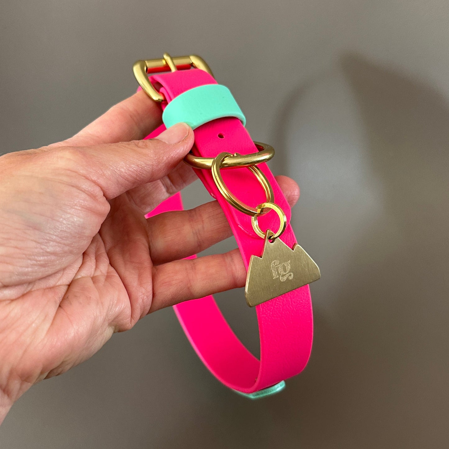 Lolly Colourband BioThane® Collar