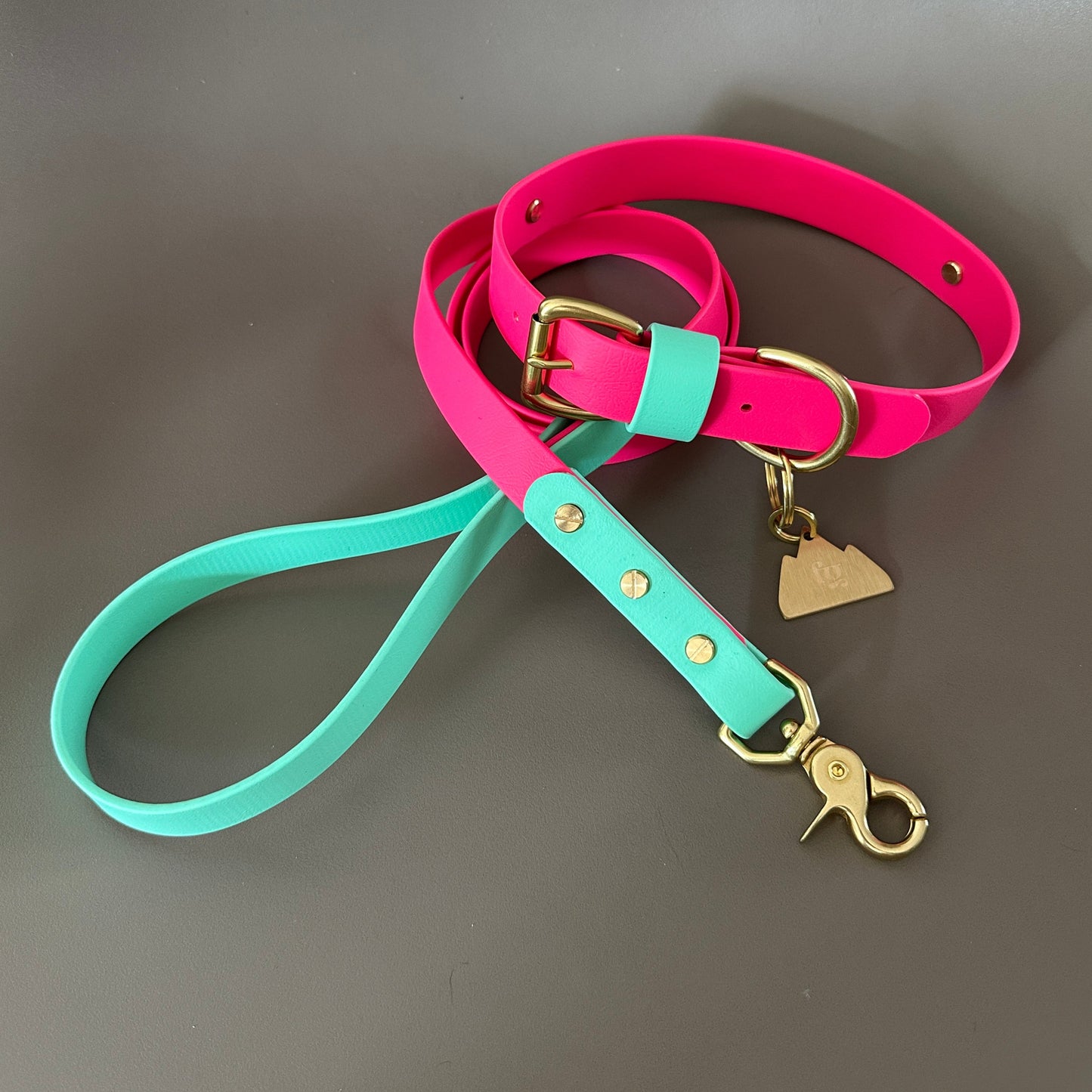 Lolly Colourband BioThane® Collar