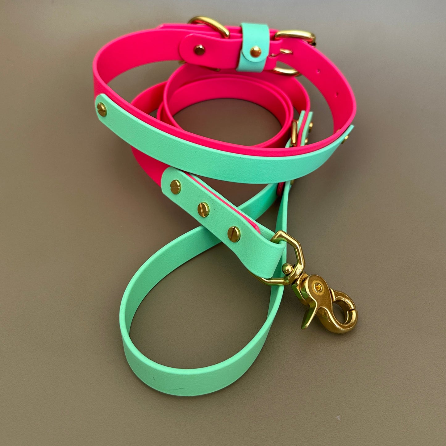 Lolly Colourblock BioThane® Lead