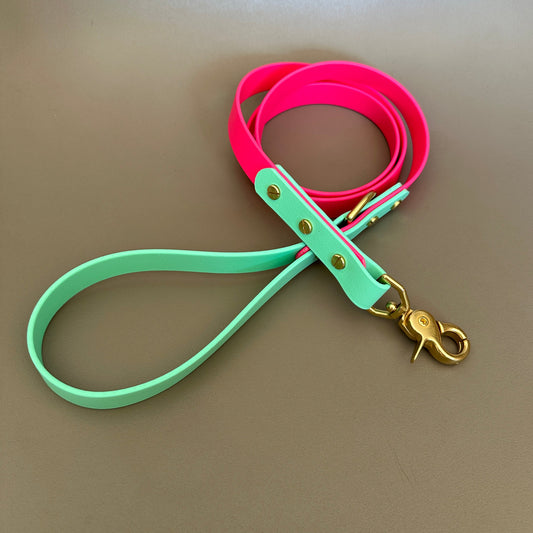 Lolly Colourblock BioThane® Lead