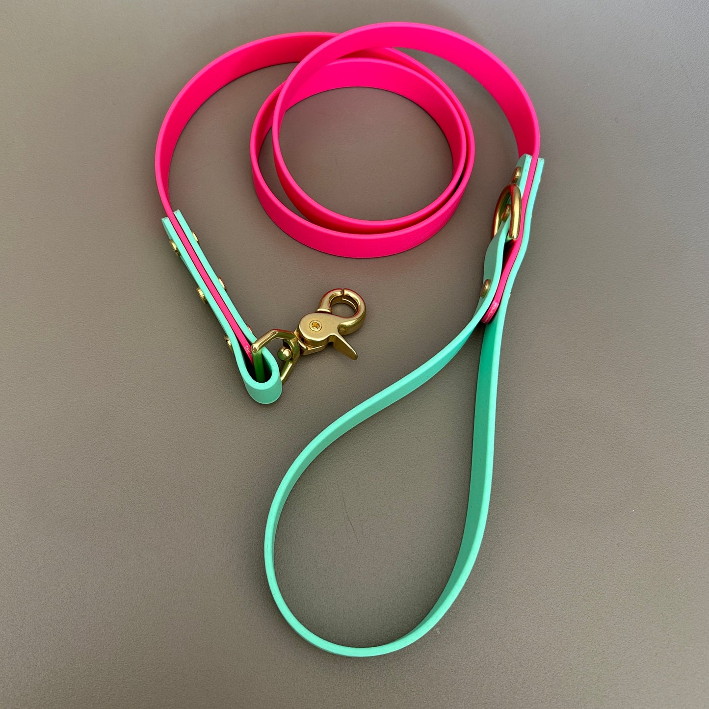 Lolly Colourblock BioThane® Lead
