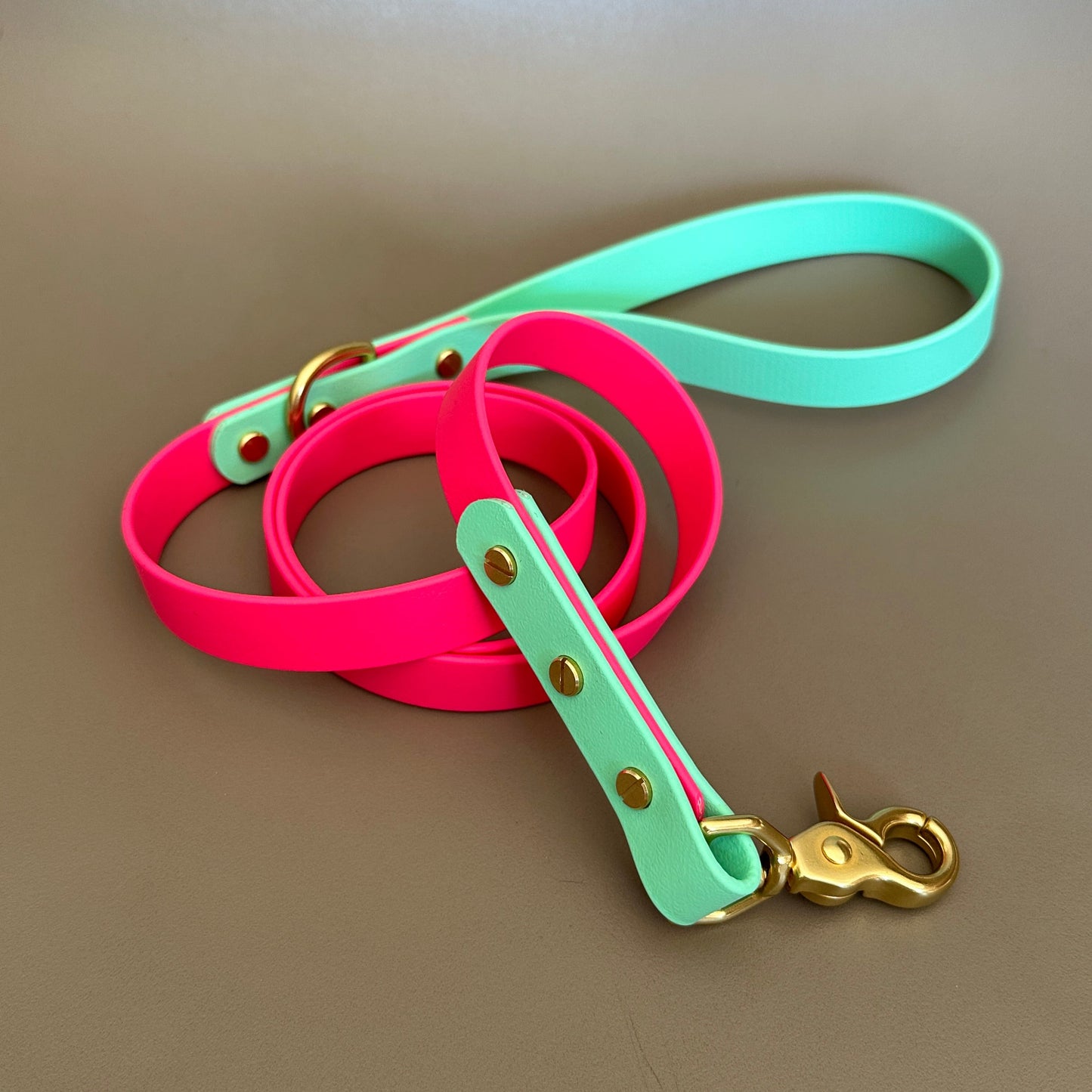 Lolly Colourblock BioThane® Lead