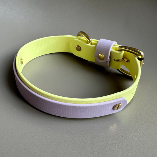 Aster Colourband BioThane® Collar