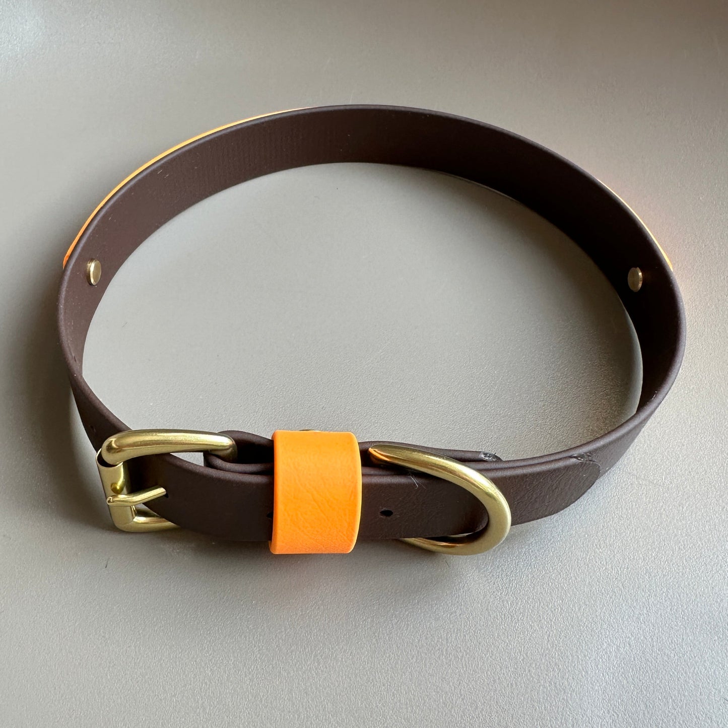 Choccy Orange Colourband BioThane® Collar