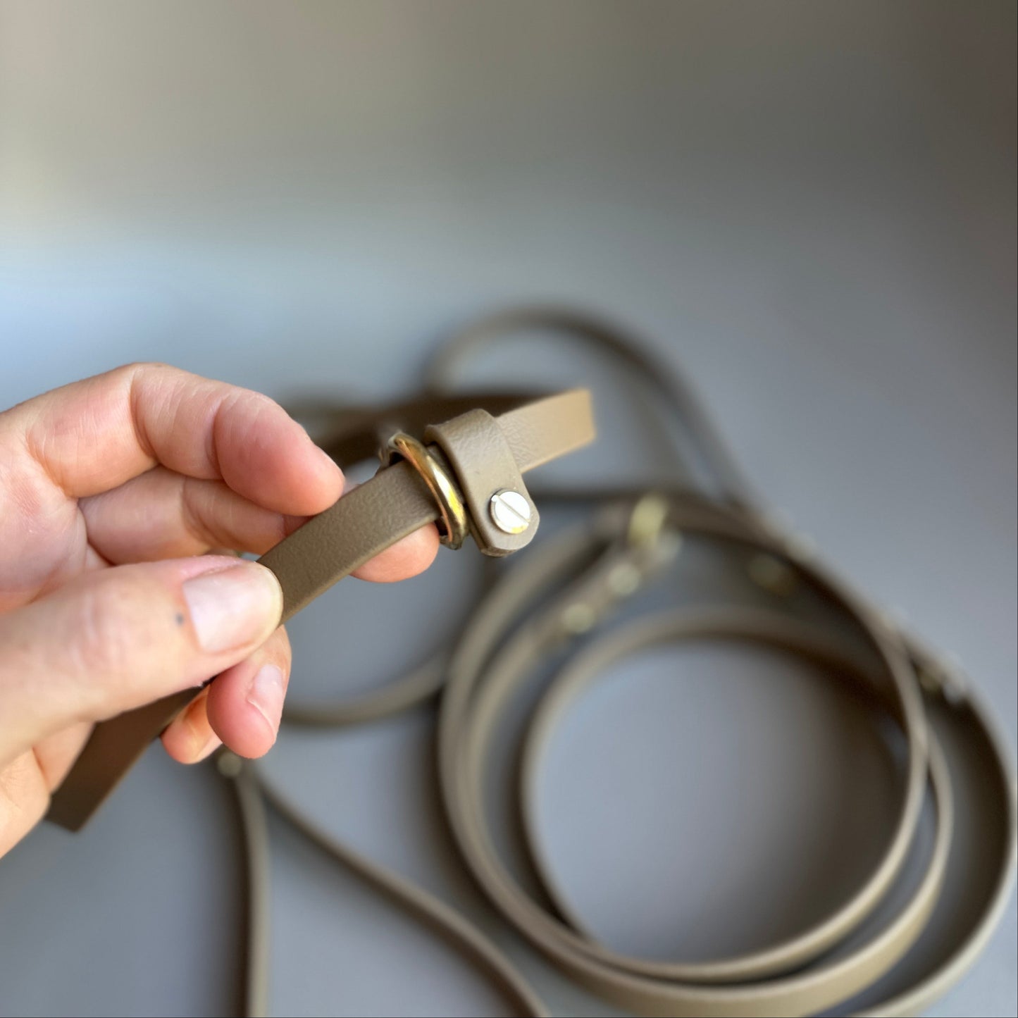 BioThane® 12mm Slip Lead