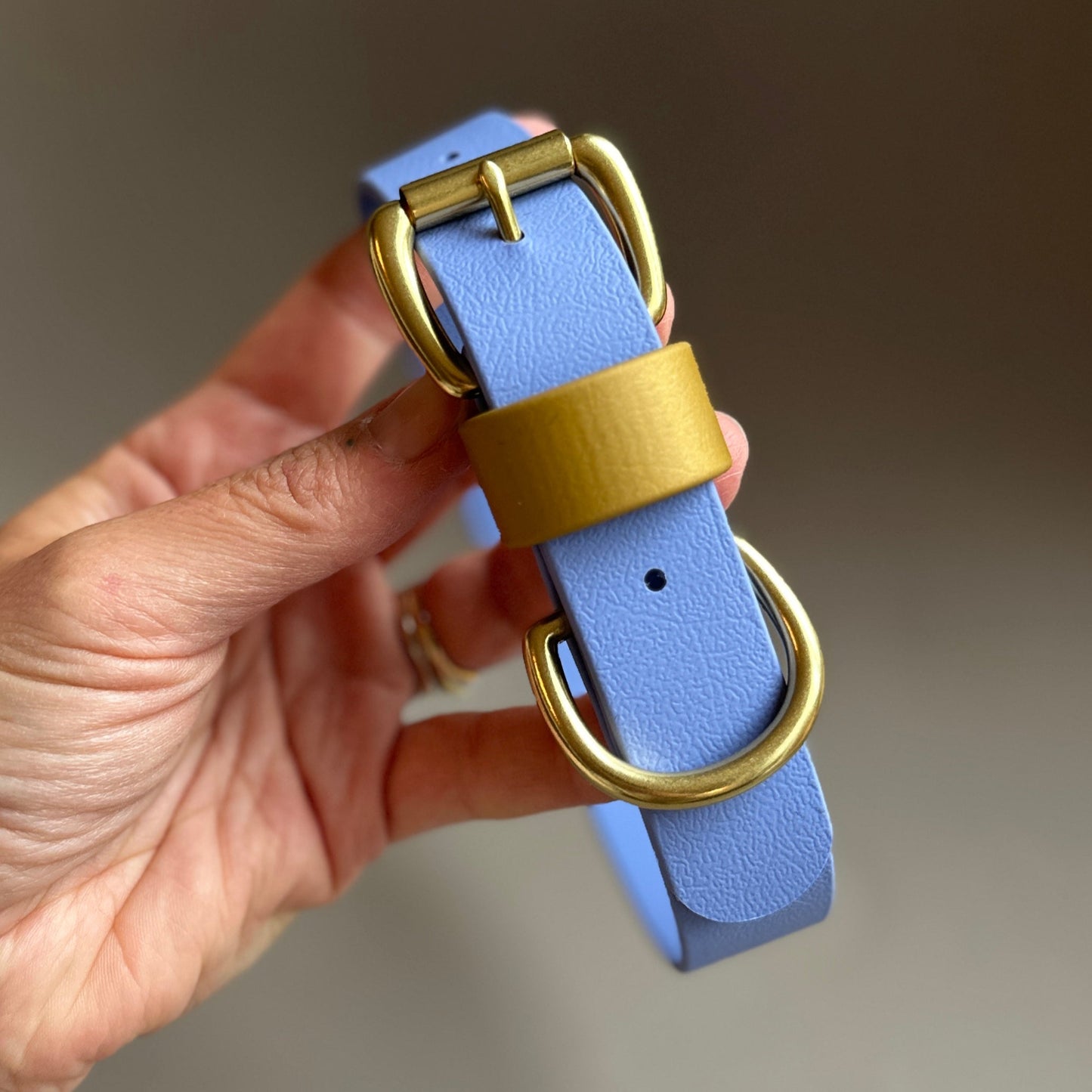 Atlas Colourblock BioThane® Collar