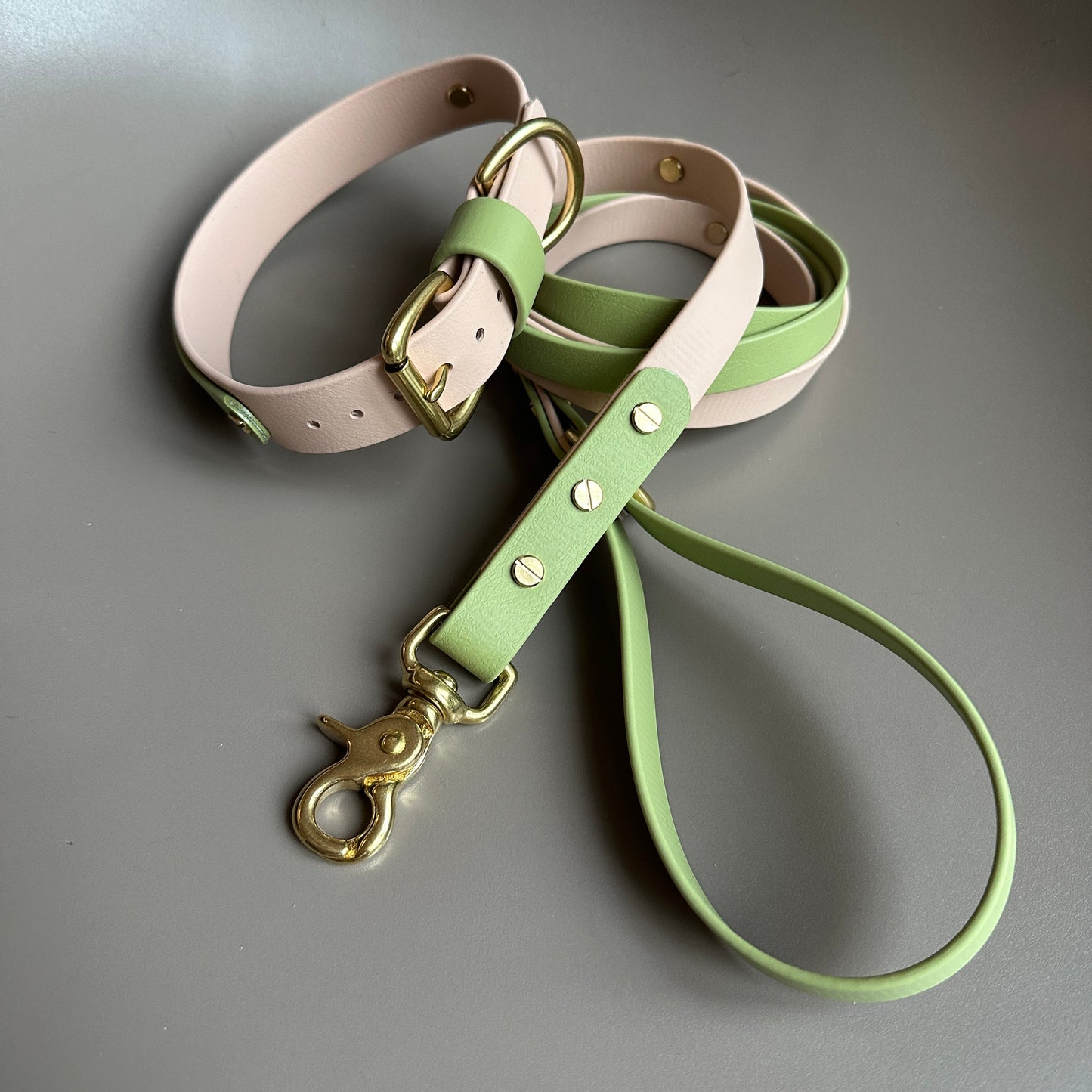 Tecuci Colourband BioThane® Collar