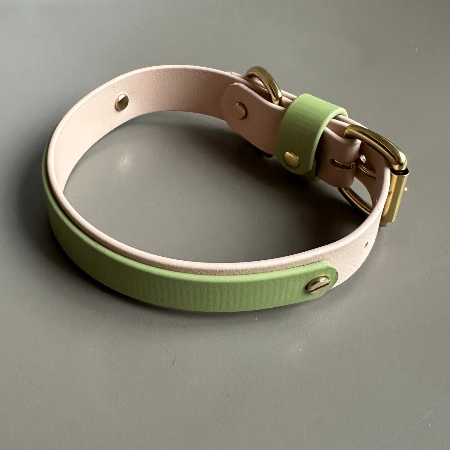Tecuci Colourband BioThane® Collar