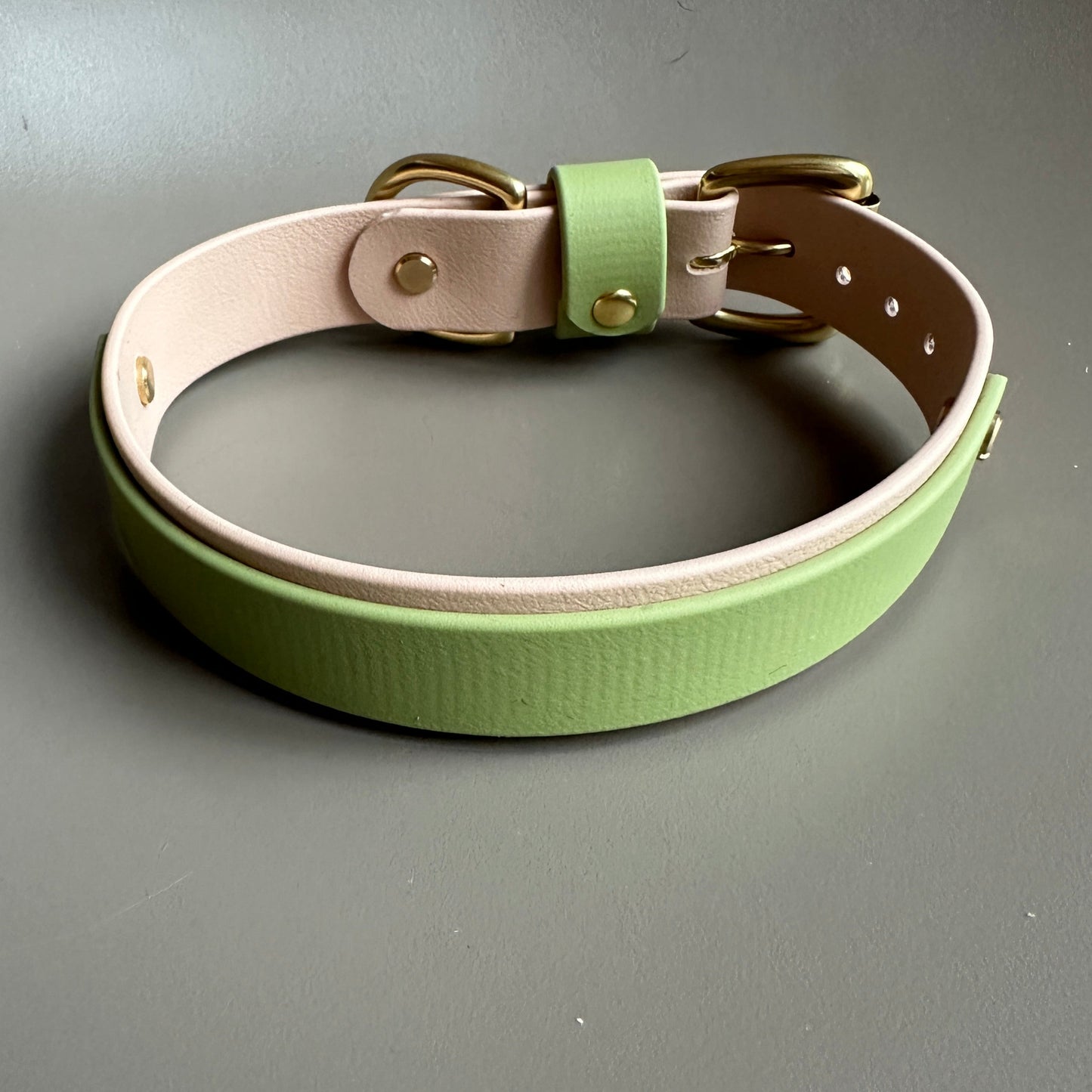 Tecuci Colourband BioThane® Collar
