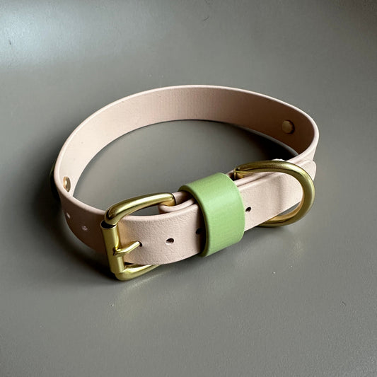 Tecuci Colourband BioThane® Collar