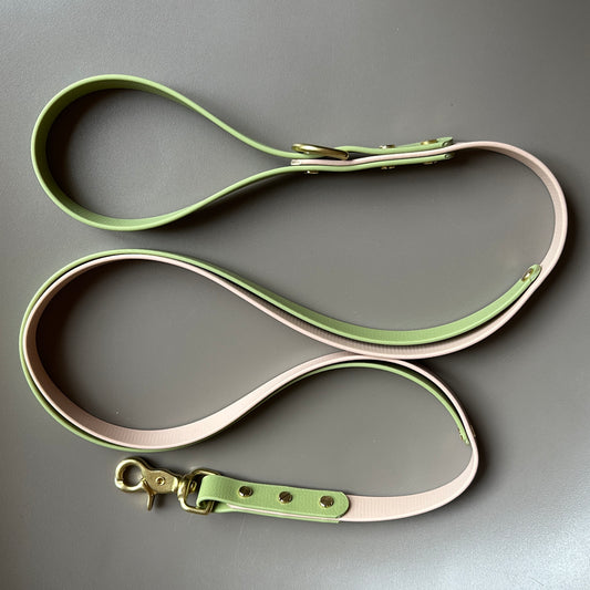 Tecuci Colourband Control BioThane® Lead