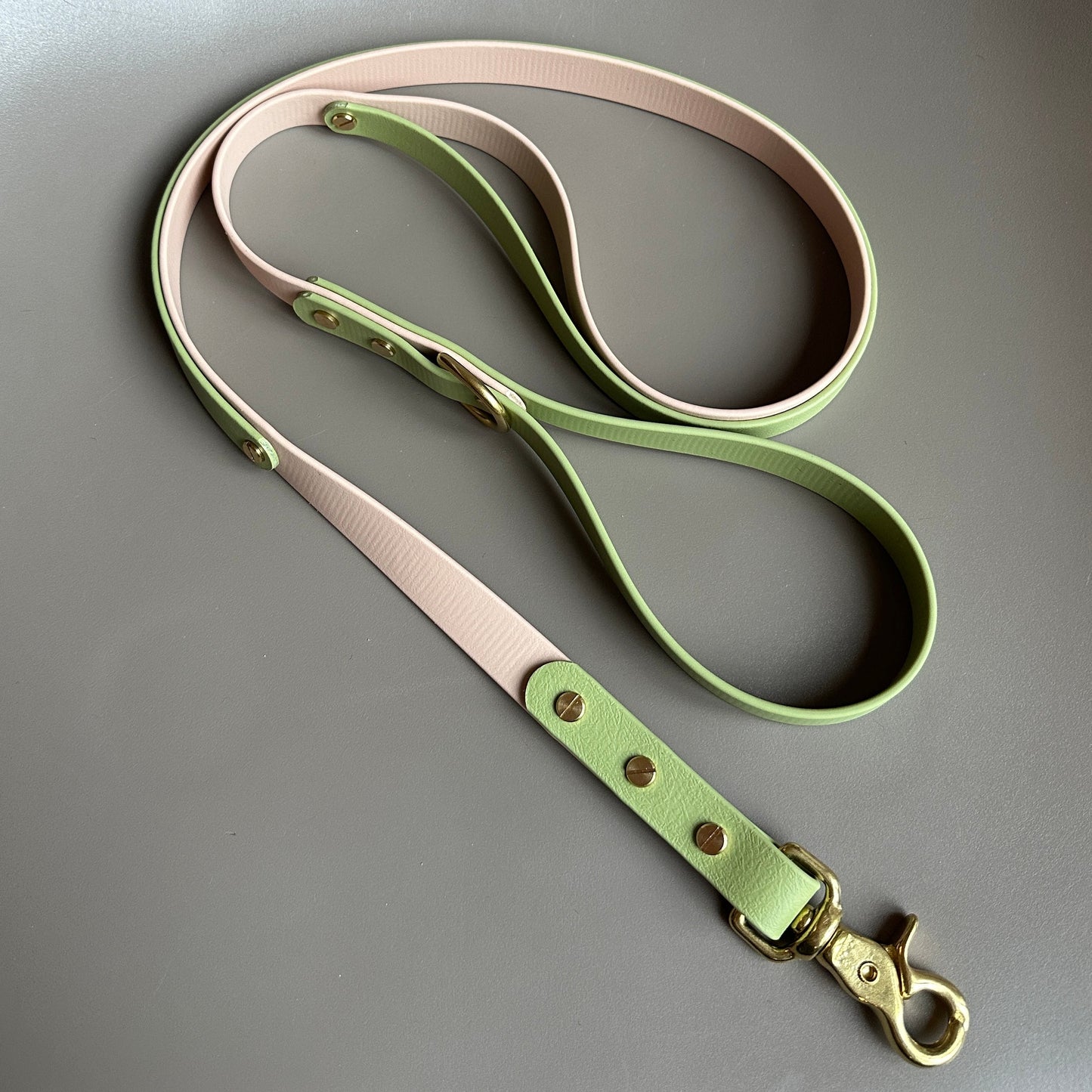 Tecuci Colourband Control BioThane® Lead