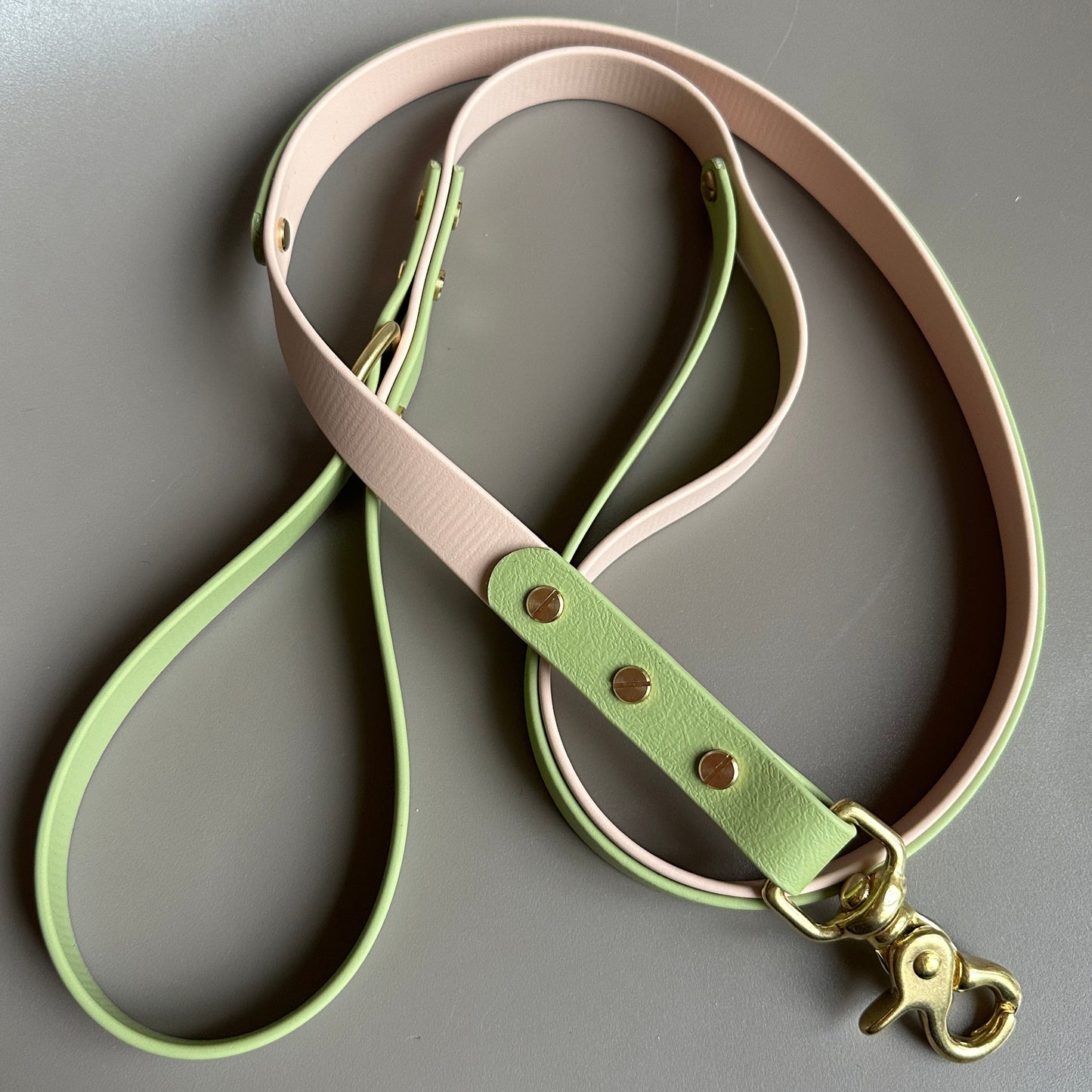 Tecuci Colourband Control BioThane® Lead